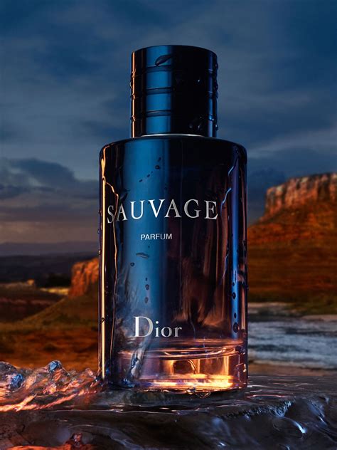 men's sauvage dior cologne|dior sauvage website.